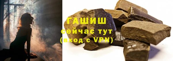 прущие грибы Горняк