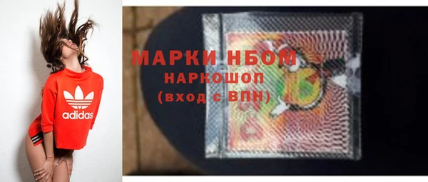 прущие грибы Горняк