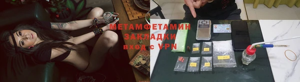 прущие грибы Горняк