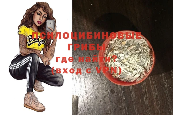ешки Гусь-Хрустальный