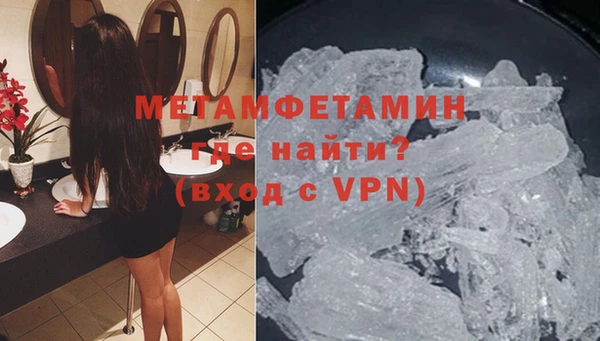 прущие грибы Горняк