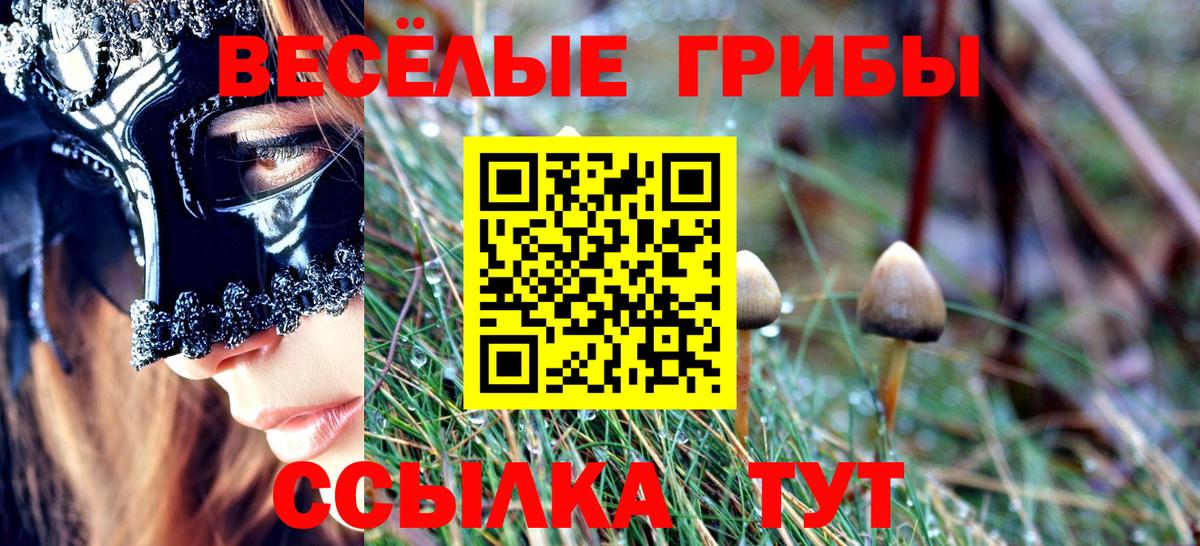Галлюциногенные грибы Psilocybine cubensis Новочебоксарск